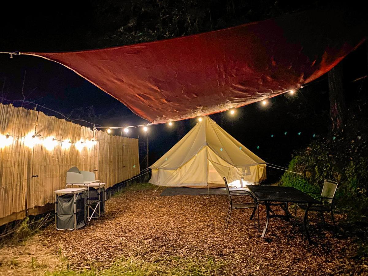 Hotel Glamping In The Redwoods With A Hot Tub! Garberville Exterior foto