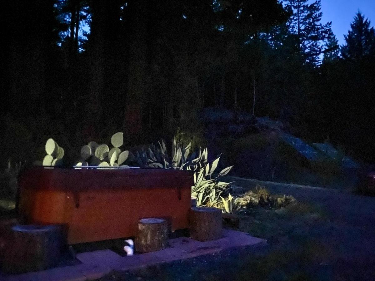 Hotel Glamping In The Redwoods With A Hot Tub! Garberville Exterior foto
