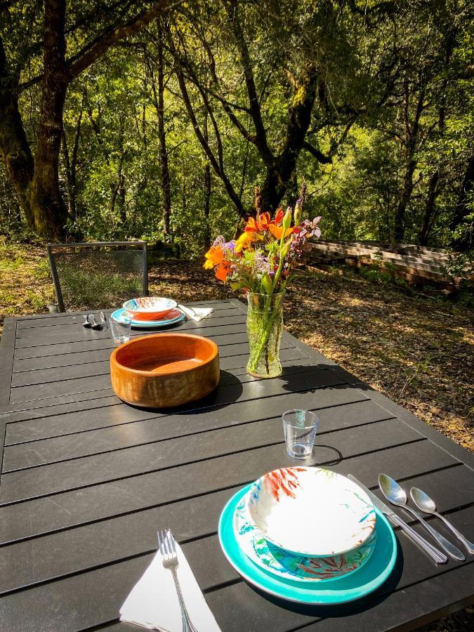 Hotel Glamping In The Redwoods With A Hot Tub! Garberville Exterior foto