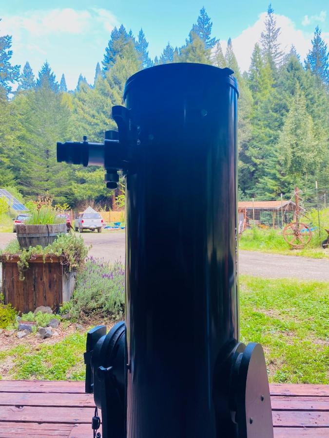 Hotel Glamping In The Redwoods With A Hot Tub! Garberville Exterior foto